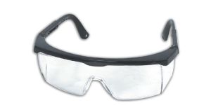 Punk Goggle