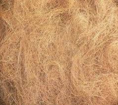 Coir Fibers