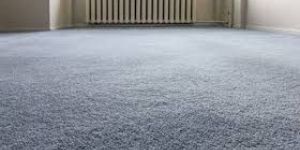 Floor Carpet