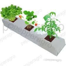 Coir Grow Bags