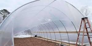 Greenhouse Film