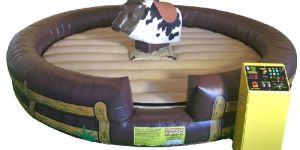 Mechanical Bull Ride