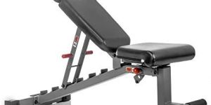 Weight Bench