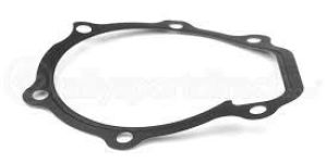 Water Pump Gasket