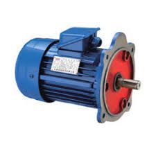 Paddle Wheel Aerator Motor