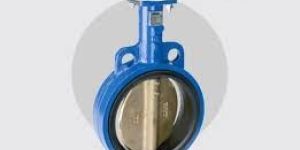Butterfly Valve