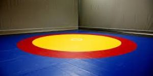 Wrestling Mat