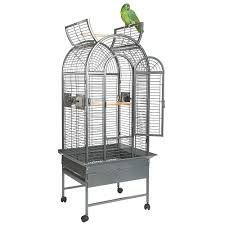 Parrot Cages