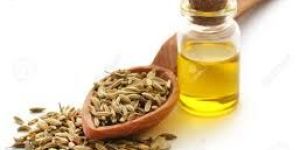 Fennel Seeds Oil