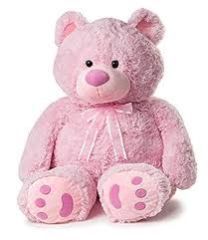 Pink Teddy Bear