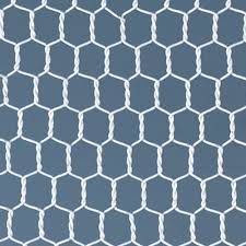 Hexagonal Wire Mesh