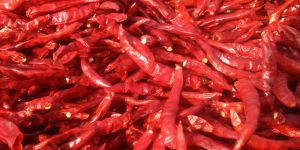 Dry Red Chilli