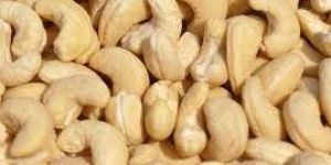 Raw Cashew Nuts
