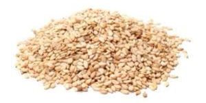 Sesame Seeds