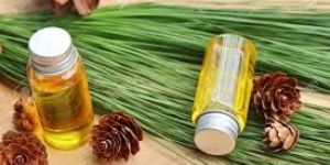 Pine Oil