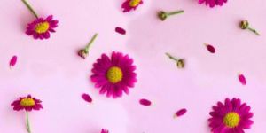 Polyester Satin Fabric