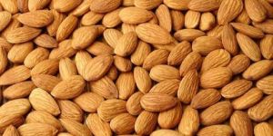 Dried Almond Nuts