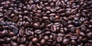Roasted Coffee Beans