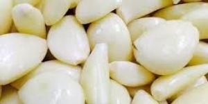 Fresh Peeled Garlic