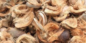Coconut Husk