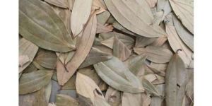 Dehydrated Bay Leaves