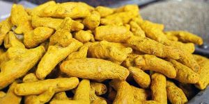 Turmeric Finger