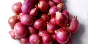 Fresh Small Onion