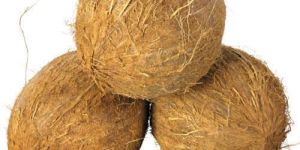 Fully Husked Coconut