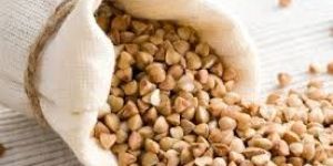Buckwheat Seeds