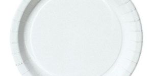 Biodegradable Paper Plate