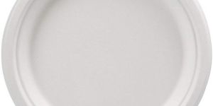 Disposable Paper Plate