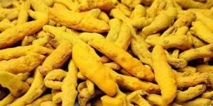 Yellow Turmeric Finger