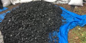 Charcoal Granules