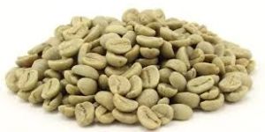 Green Coffee Beans