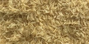 1509 Golden Sella Basmati Rice