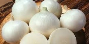 White Onion
