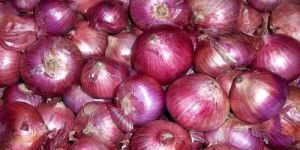 Natural Red Onion