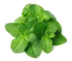 Organic Mint Leaves