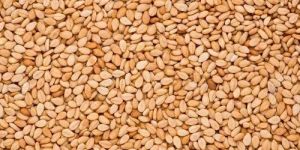 Roasted Sesame Seeds