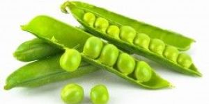 Fresh Green Peas