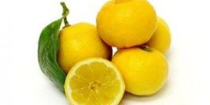 Fresh Lemon