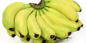 Robusta Banana