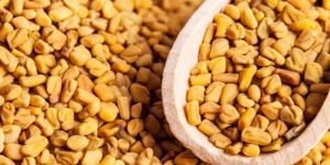 Fenugreek Seeds