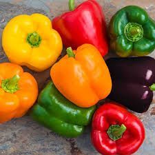 Fresh Bell Pepper