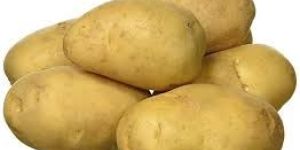 Fresh Potato