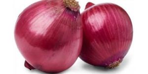 Fresh Red Onion