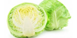 Fresh Organic Cabbage