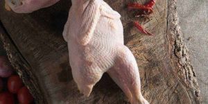 Country Chicken Meat