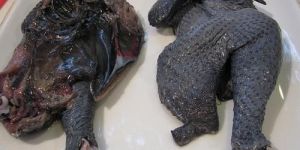 Kadaknath Chicken Meat