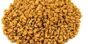 Raw Fenugreek Seeds